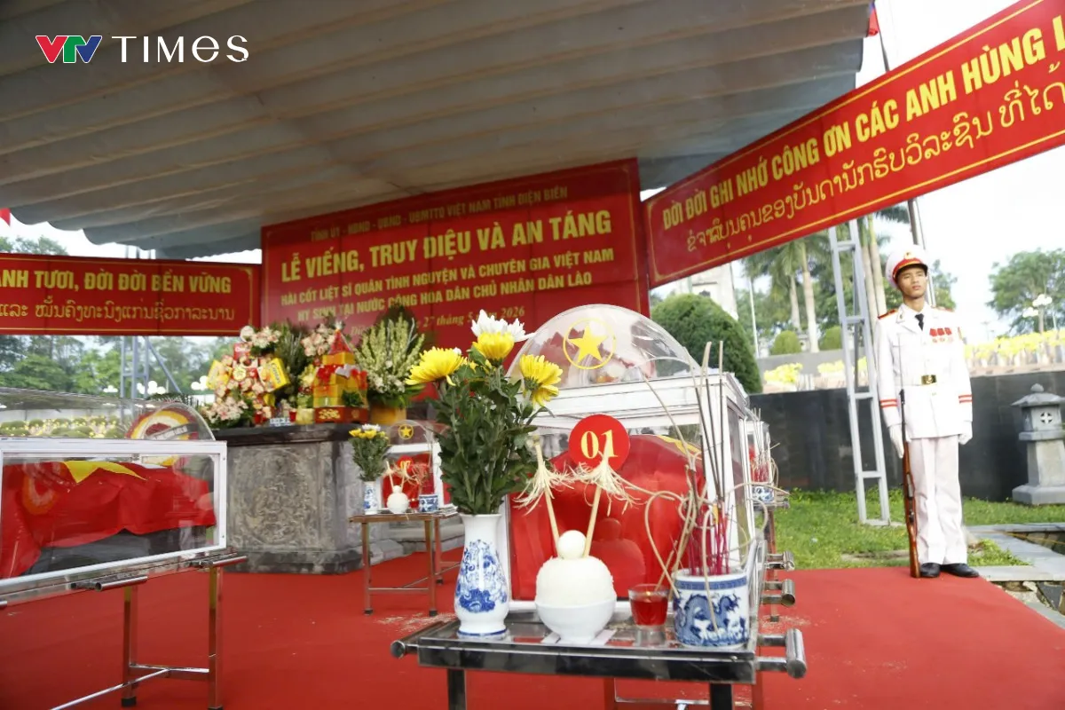 Các anh đã về với đất mẹ - Ảnh 1.