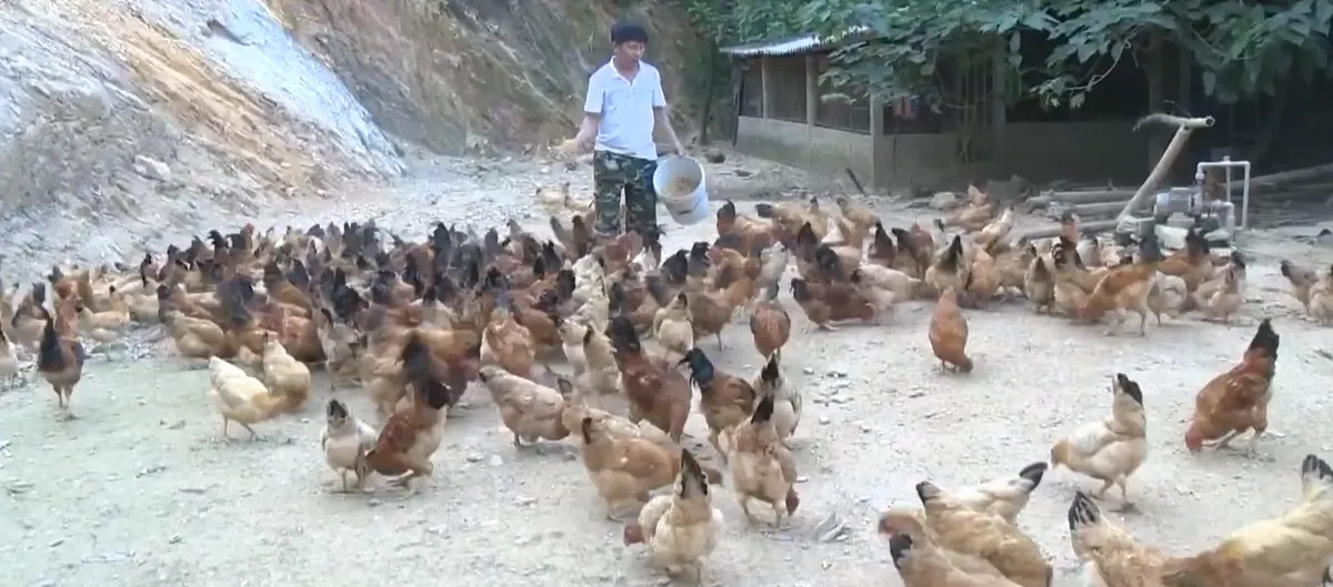 Nông dân thích ứng với nắng nóng
- Ảnh 1. Nông dân thích ứng với nắng nóng
- Ảnh 1.