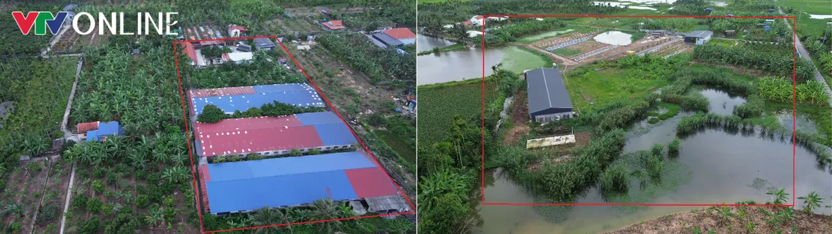 Hải Ph&ograve;ng: Người d&acirc;n phường Lưu Kiếm bức x&uacute;c v&igrave; &ocirc; nhiễm từ c&aacute;c cơ sở chăn nu&ocirc;i - Ảnh 12.