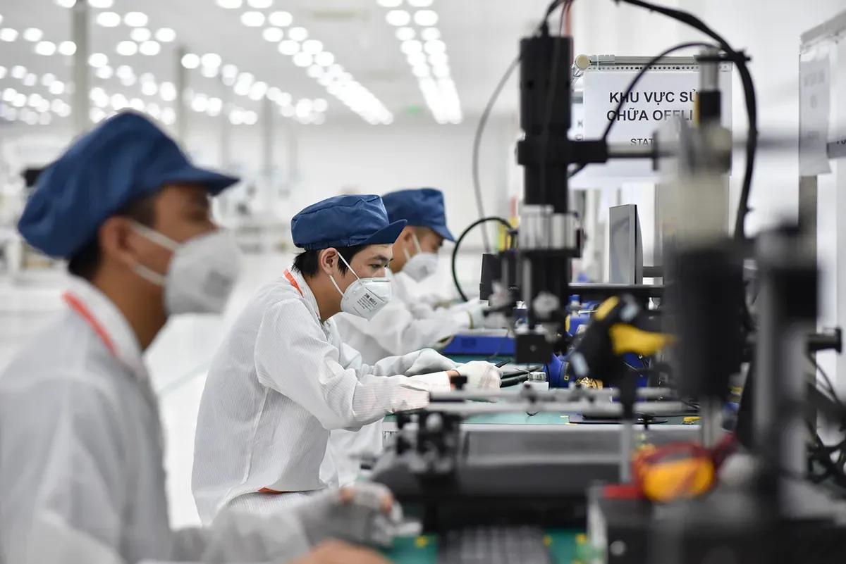 Khoa học cơ bản: Nền móng tri thức quốc gia - Ảnh 3.
