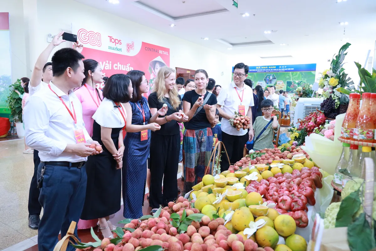 Bắc Ninh th&uacute;c đẩy ti&ecirc;u thụ vải thiều v&agrave; n&ocirc;ng sản OCOP, hướng tới x&acirc;y dựng thương hiệu n&ocirc;ng sản bền vững- Ảnh 2.