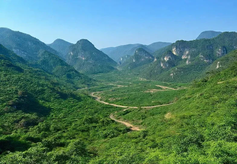 Công an Lạng Sơn triệt phá sòng bạc xóc đĩa trong khu vực đồi núi hiểm trở- Ảnh 1. Công an Lạng Sơn triệt phá sòng bạc xóc đĩa trong khu vực đồi núi hiểm trở- Ảnh 1.
