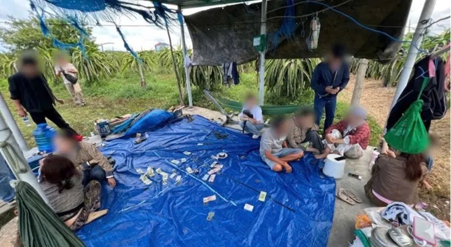 Triệt phá sới bạc trong vườn thanh long, tạm giữ 7 người liên quan- Ảnh 1. Triệt phá sới bạc trong vườn thanh long, tạm giữ 7 người liên quan- Ảnh 1.
