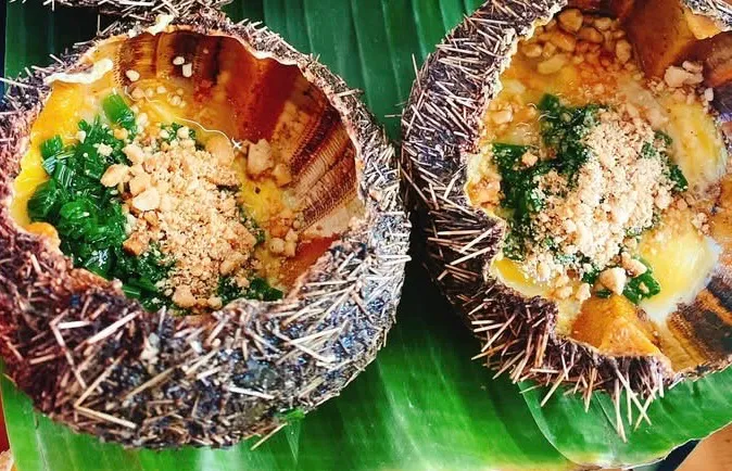 Mùa săn nhum giữa biển xanh Khánh Hòa- Ảnh 4. Mùa săn nhum giữa biển xanh Khánh Hòa- Ảnh 4.