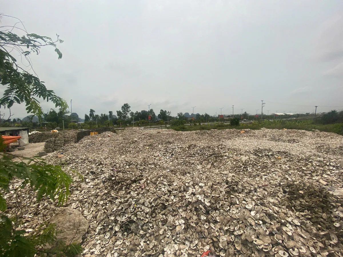 Khởi tố chủ cơ sở chế biến đổ hơn 324.500 kg vỏ hàu ra môi trường- Ảnh 1. Khởi tố chủ cơ sở chế biến đổ hơn 324.500 kg vỏ hàu ra môi trường- Ảnh 1.