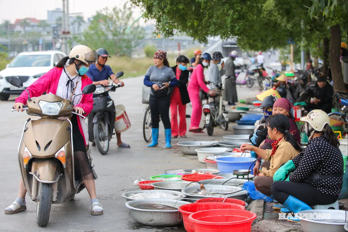 &lsquo;Chợ c&oacute;c&rsquo; v&agrave; b&agrave;i to&aacute;n sinh kế cho người d&acirc;n- Ảnh 2.