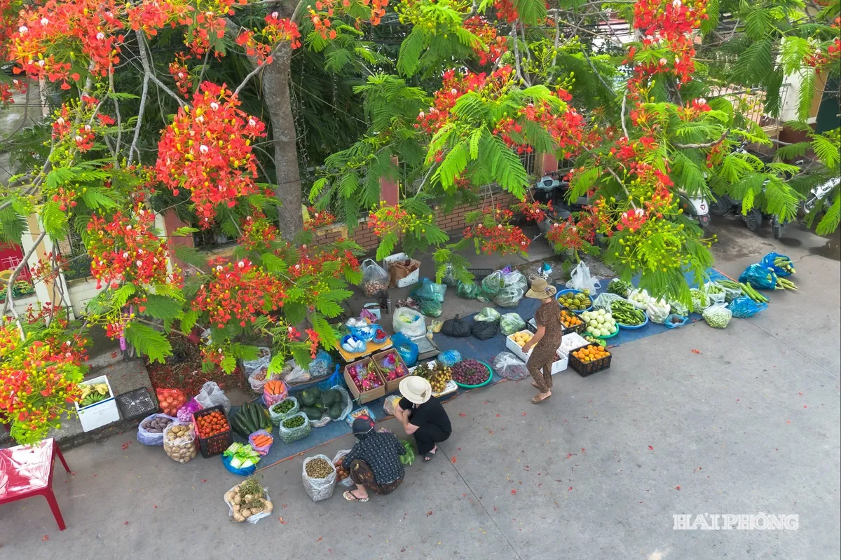 &lsquo;Chợ c&oacute;c&rsquo; v&agrave; b&agrave;i to&aacute;n sinh kế cho người d&acirc;n- Ảnh 1.