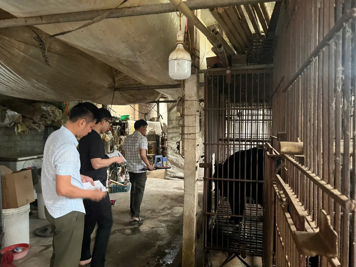 Hà Nội vận động người dân chuyển giao gấu tới các trung tâm cứu hộ - Ảnh 4.