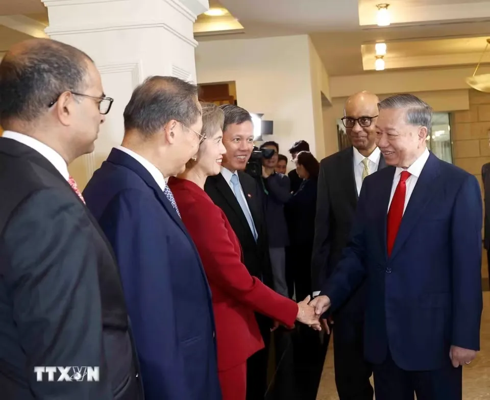 Lễ đón Tổng Bí thư, Chủ tịch nước Tô Lâm và Phu nhân thăm cấp Nhà nước Cộng hòa Singapore - Ảnh 3.