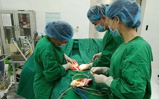 Ảnh: CDC Tuyên Quang