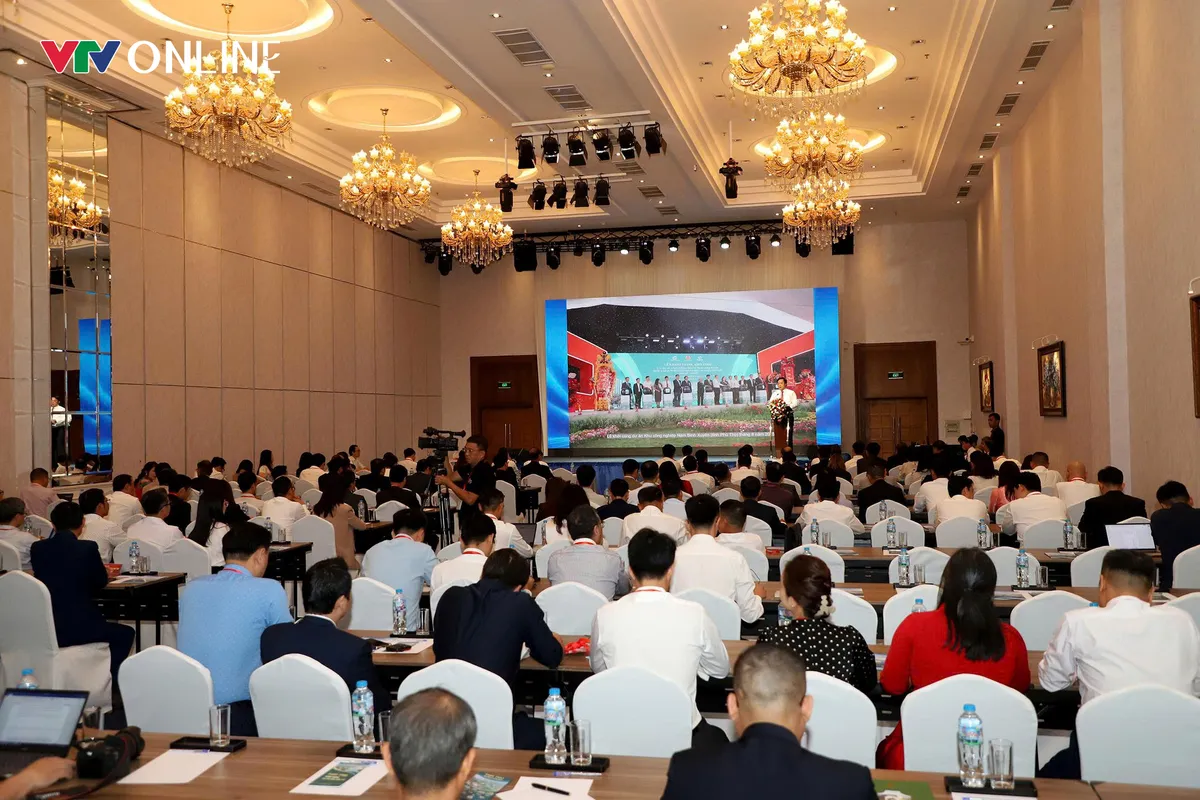 Ph&uacute; Thọ t&igrave;m động lực tăng trưởng mới sau hợp nhất - Ảnh 4.