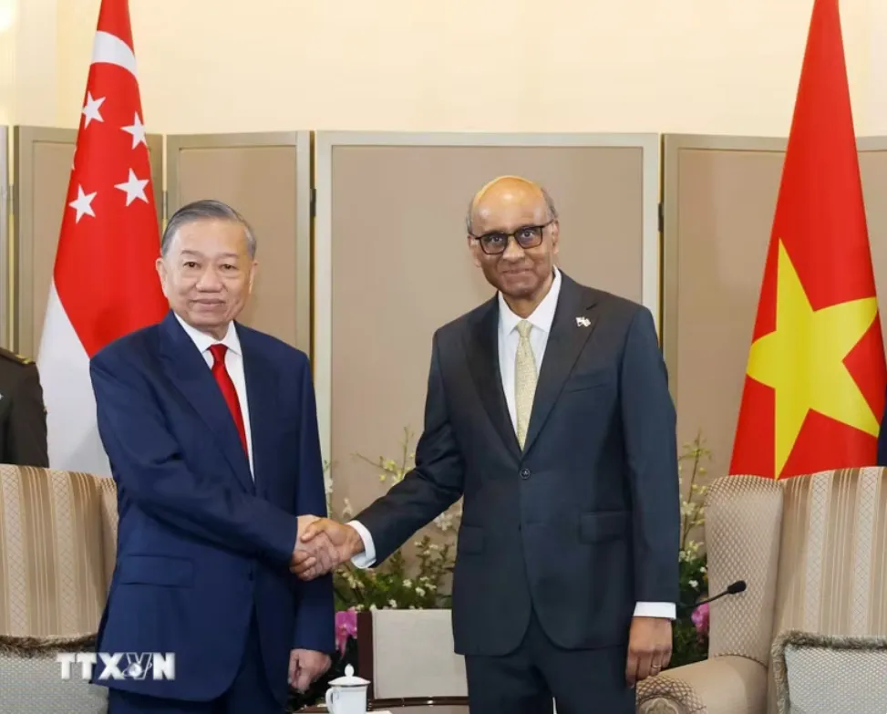 Đưa quan hệ Đối tác Chiến lược Toàn diện Việt Nam-Singapore sang giai đoạn phát triển mới về chất - Ảnh 1.
