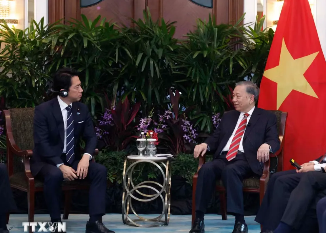 Tăng cường hợp tác quốc phòng - an ninh Việt Nam - Nhật Bản - Ảnh 2.