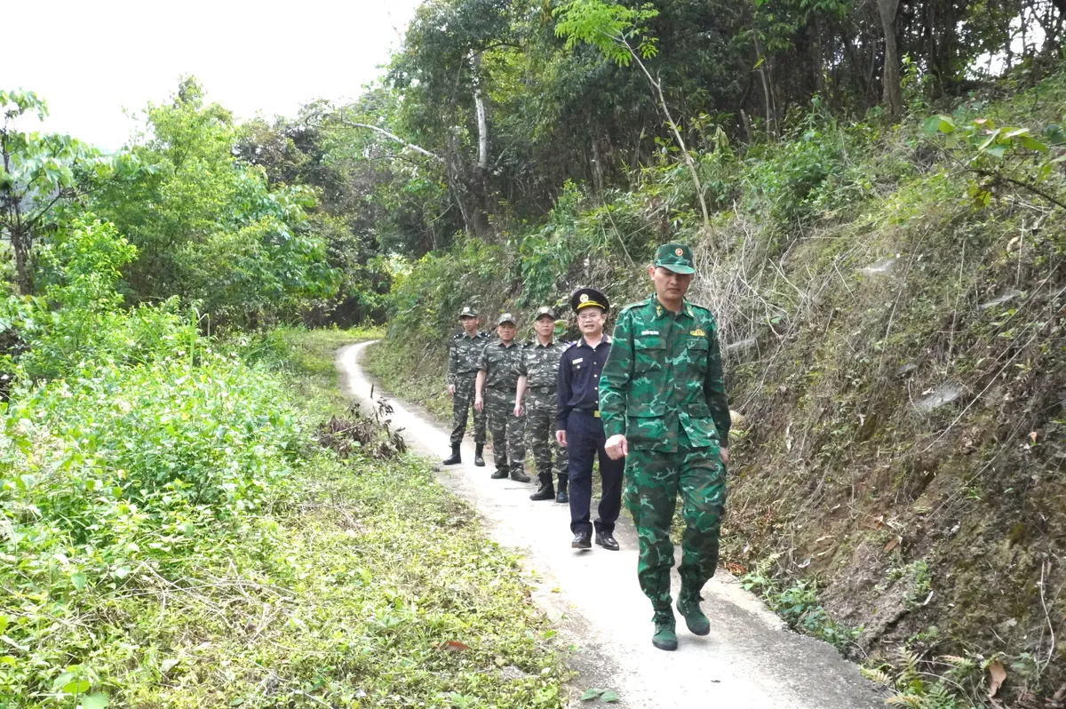 Dự thảo Luật Hải quan hướng tới kiểm so&aacute;t dữ liệu tự động- Ảnh 1.