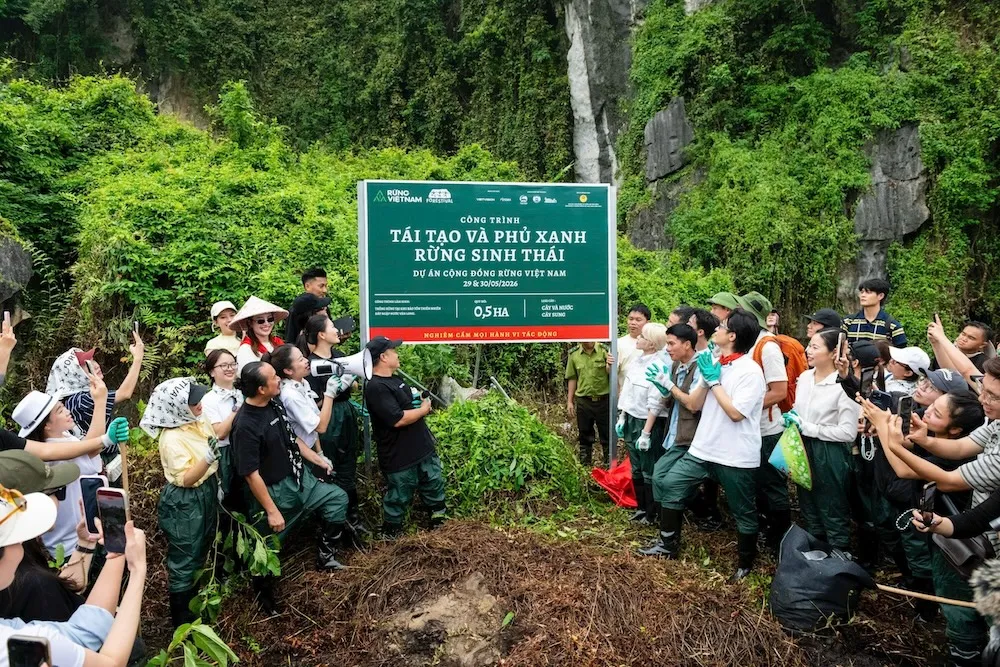Hà Anh Tuấn, Bùi Công Nam, Phùng Khánh Linh và khán giả Forestival 2026 tham gia trồng rừng ở Ninh Bình  - Ảnh 1.