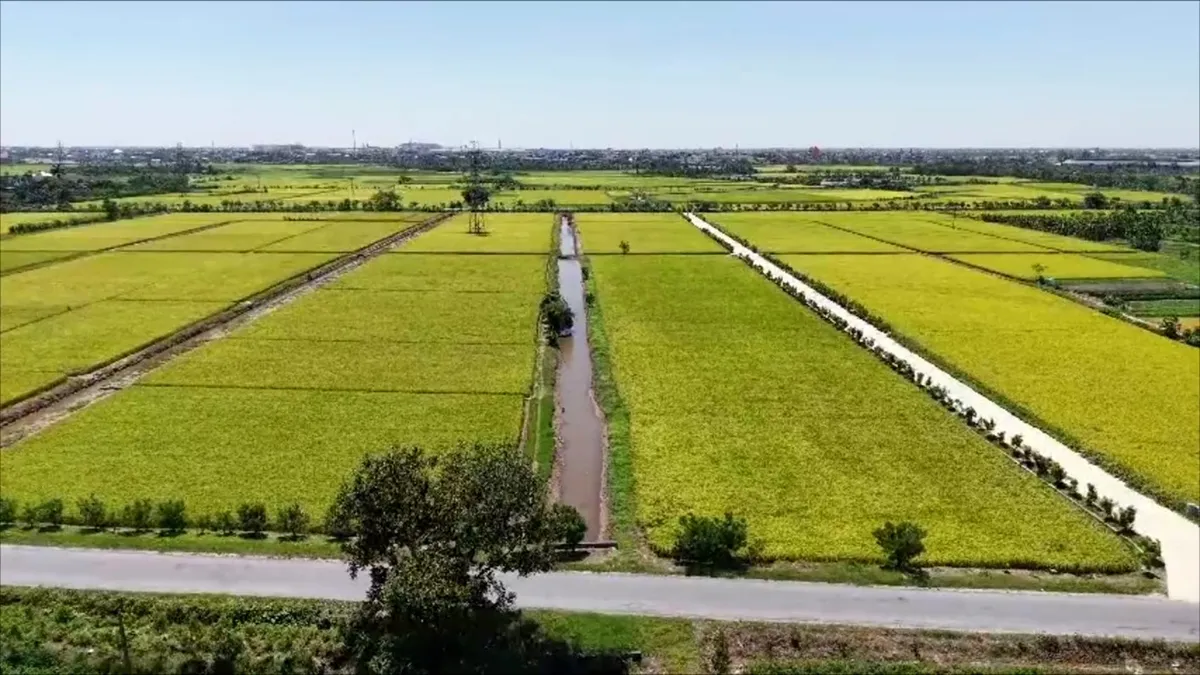 X&atilde; Phụ Dực (Hưng Y&ecirc;n) đẩy mạnh ph&aacute;t triển sản phẩm OCOP, n&acirc;ng tầm gi&aacute; trị n&ocirc;ng sản địa phương - Ảnh 1.