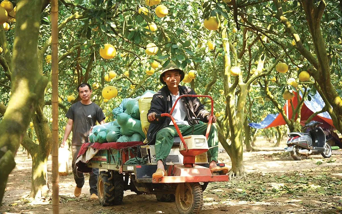 Đưa khởi nghiệp trở thành cơ hội mở cho mỗi người
- Ảnh 1. Đưa khởi nghiệp trở thành cơ hội mở cho mỗi người
- Ảnh 1.