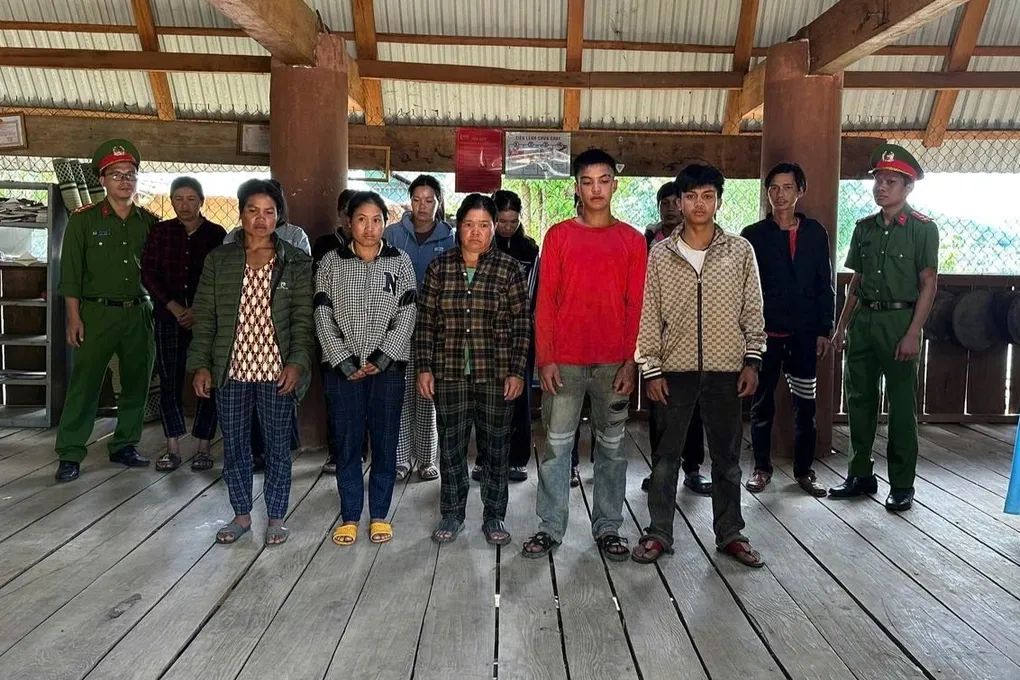 Khởi tố 13 người đột nhập vườn sâm Ngọc Linh, lấy trộm tài sản gần 300 triệu đồng- Ảnh 1. Khởi tố 13 người đột nhập vườn sâm Ngọc Linh, lấy trộm tài sản gần 300 triệu đồng- Ảnh 1.