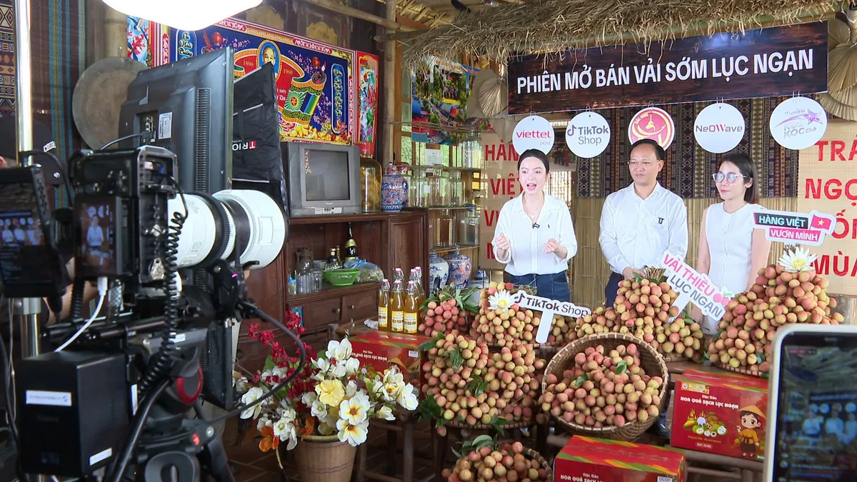 Bắc Ninh đưa vải thiều vươn xa - Ảnh 6.
