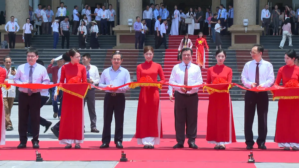 Bắc Ninh đưa vải thiều vươn xa - Ảnh 7.
