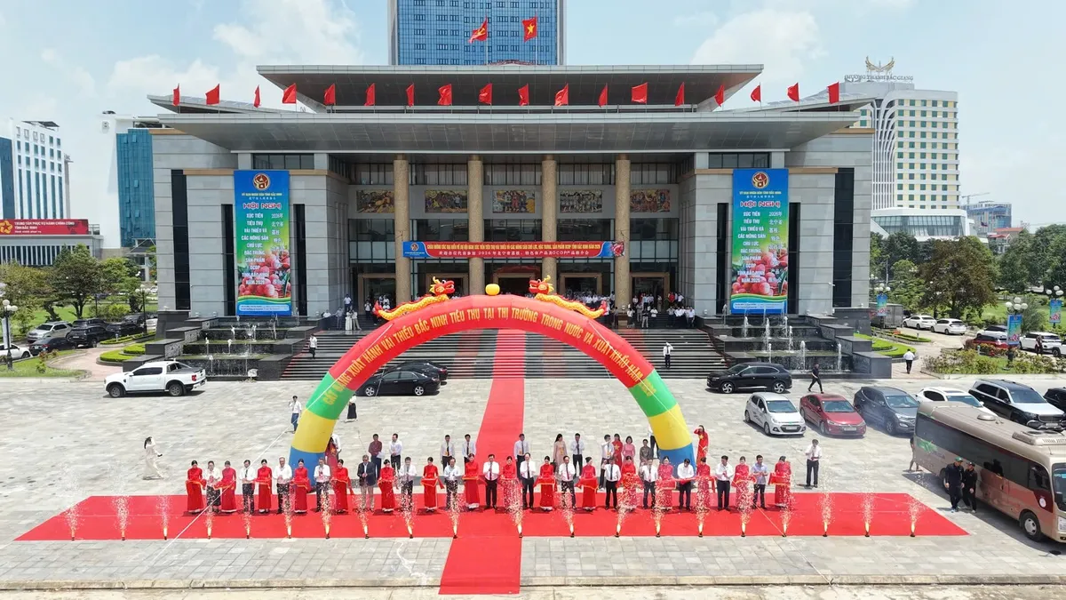 Bắc Ninh đưa vải thiều vươn xa - Ảnh 8.
