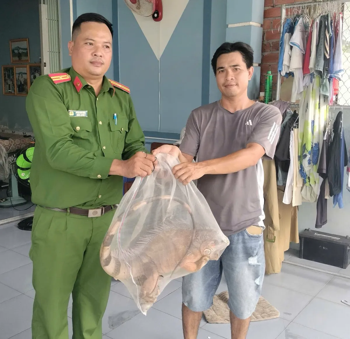 Vận động người dân giao nộp 2 cá thể rồng đất Nam Mỹ - Ảnh 2.