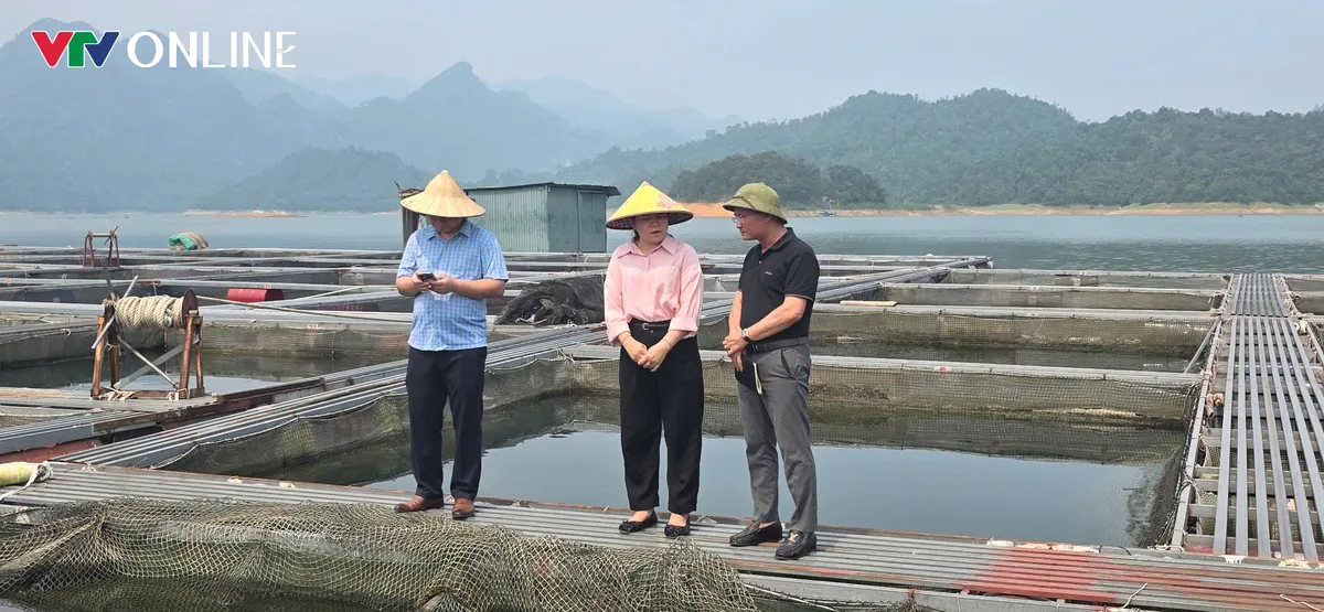 Nà Hang (Tuyên Quang): Khai thác lợi thế lòng hồ, phát triển nghề nuôi cá đặc sản - Ảnh 5.