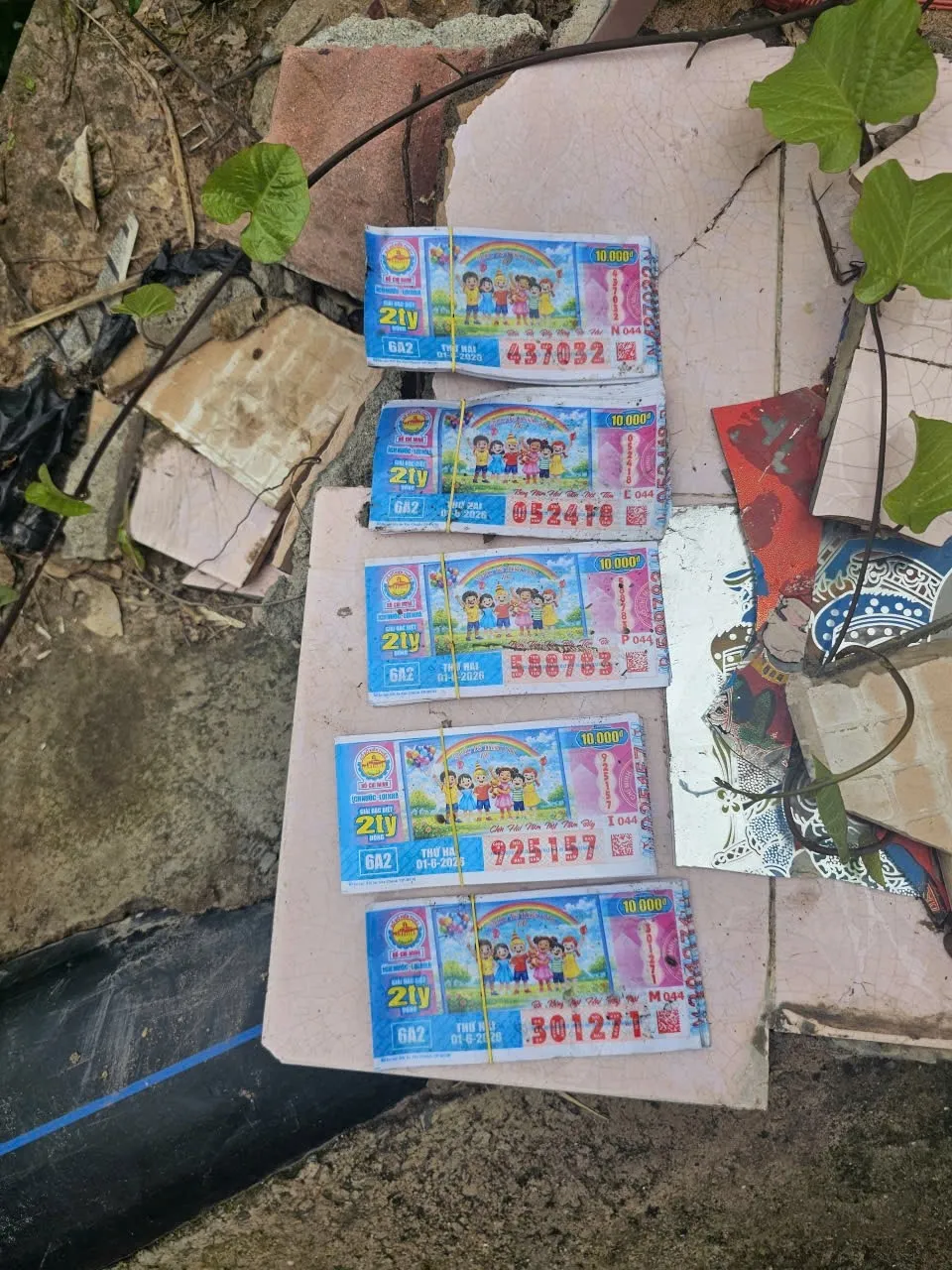 Bắt nhanh đối tượng cướp giật t&agrave;i sản của người phụ nữ khuyết tật b&aacute;n v&eacute; số mưu sinh- Ảnh 1.