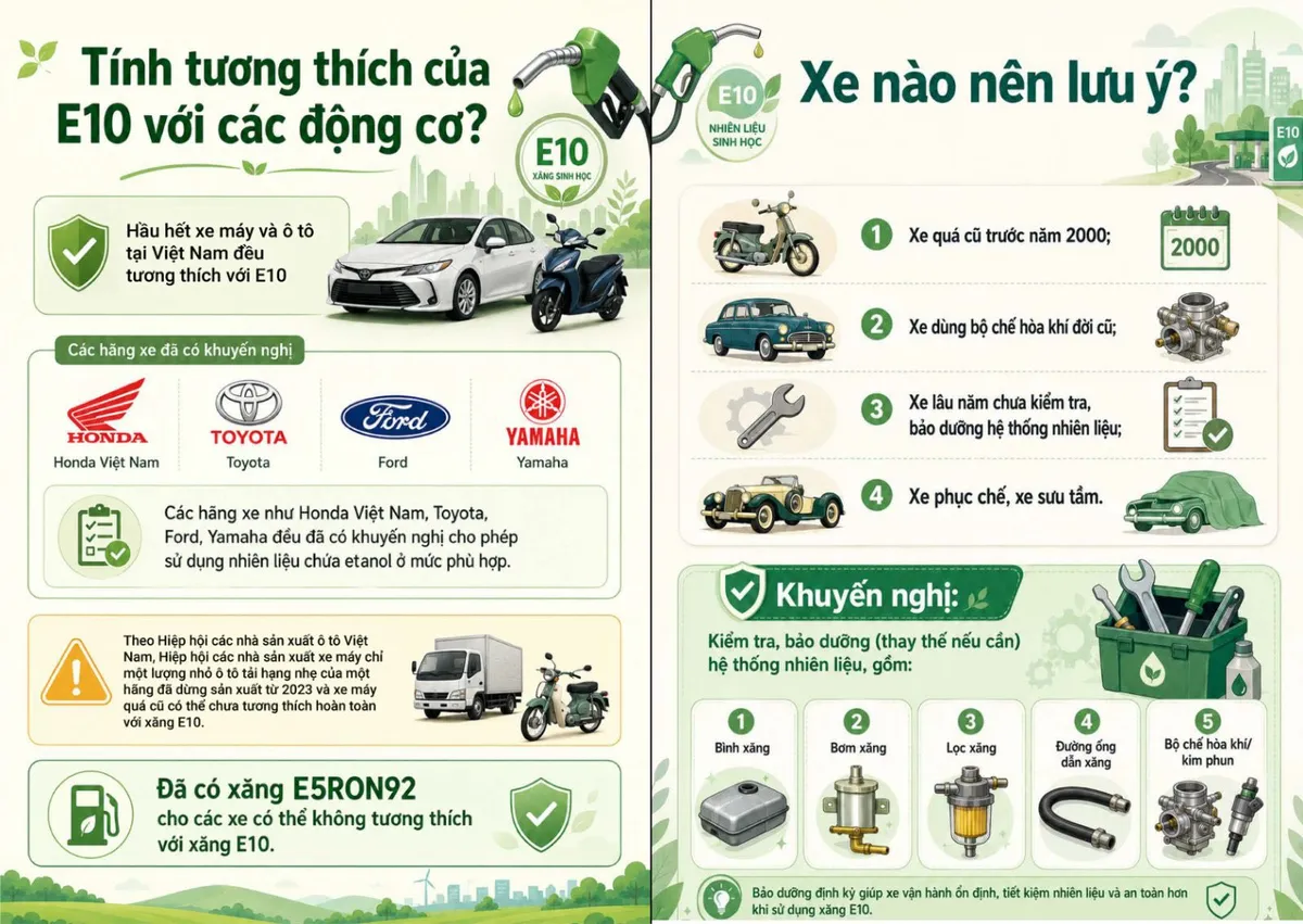 Xăng sinh học E10 ch&iacute;nh thức b&aacute;n to&agrave;n quốc: 6 lưu &yacute; quan trọng để bảo vệ động cơ- Ảnh 2.