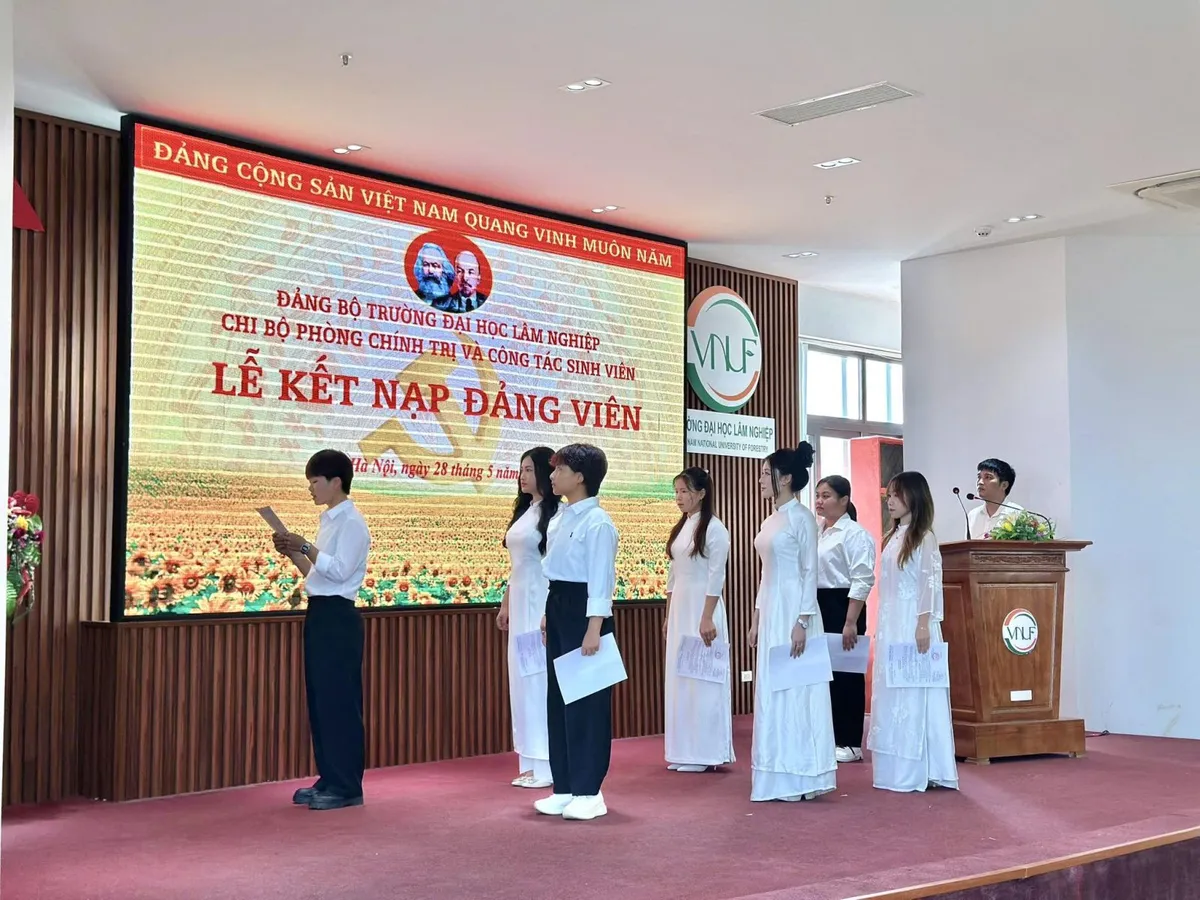 Hướng dẫn mới của Ban Bí thư về thi hành Điều lệ Đảng - Ảnh 1.