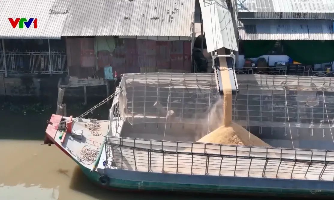 Kiểm tra, làm rõ phản ánh ô nhiễm tại các nhà máy xay xát lúa gạo ở Cần Thơ - Ảnh 2.