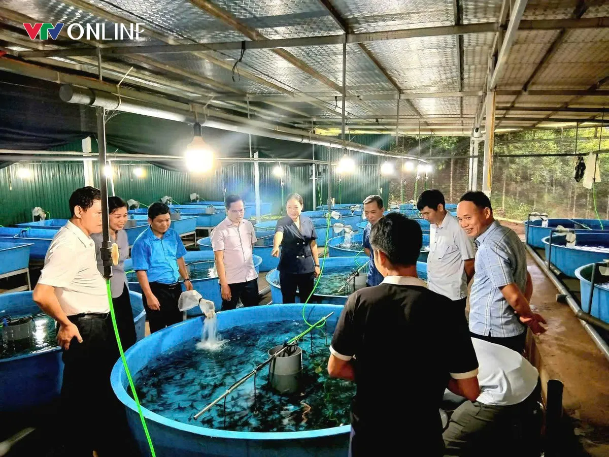 X&atilde; Trung Sơn (Ph&uacute; Thọ): Một năm chuyển động c&ugrave;ng ch&iacute;nh quyền 2 cấp     - Ảnh 6.