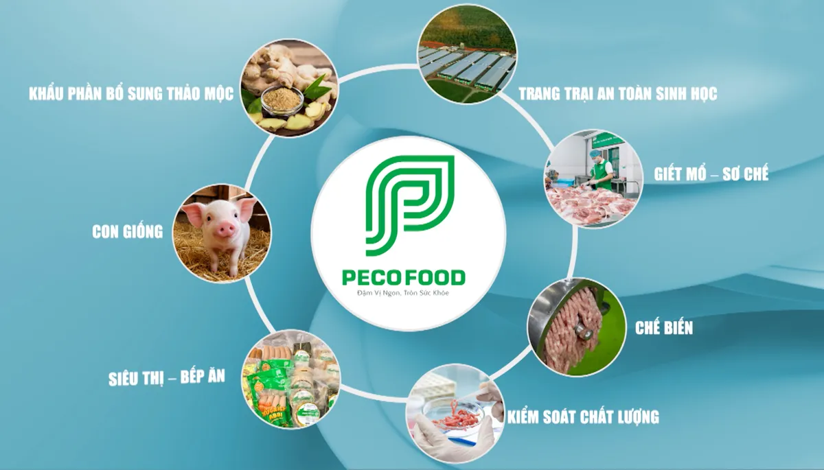 Peco Food v&agrave; H&agrave;nh tr&igrave;nh Kiến tạo Chuỗi Thực phẩm Sạch: Từ Trang trại đến B&agrave;n ăn- Ảnh 1.