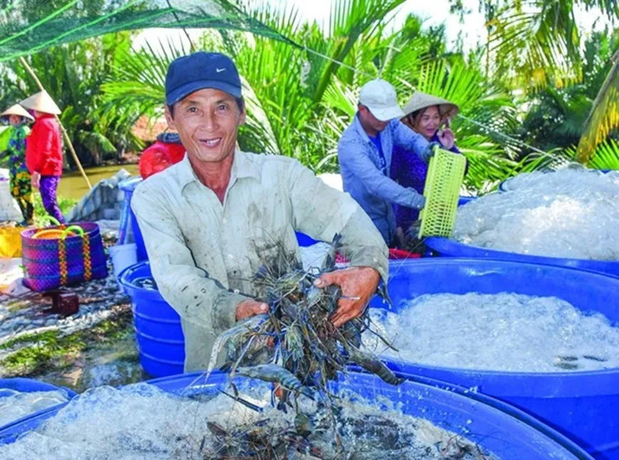 Điểm nghẽn dữ liệu của ng&agrave;nh t&ocirc;m Đồng bằng s&ocirc;ng Cửu Long
- Ảnh 1.