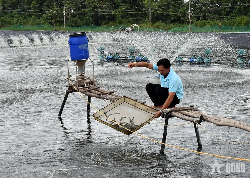 Điểm nghẽn dữ liệu của ng&agrave;nh t&ocirc;m Đồng bằng s&ocirc;ng Cửu Long
- Ảnh 2.