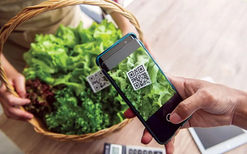 Rau quả Việt sẵn sàng truy xuất nguồn gốc