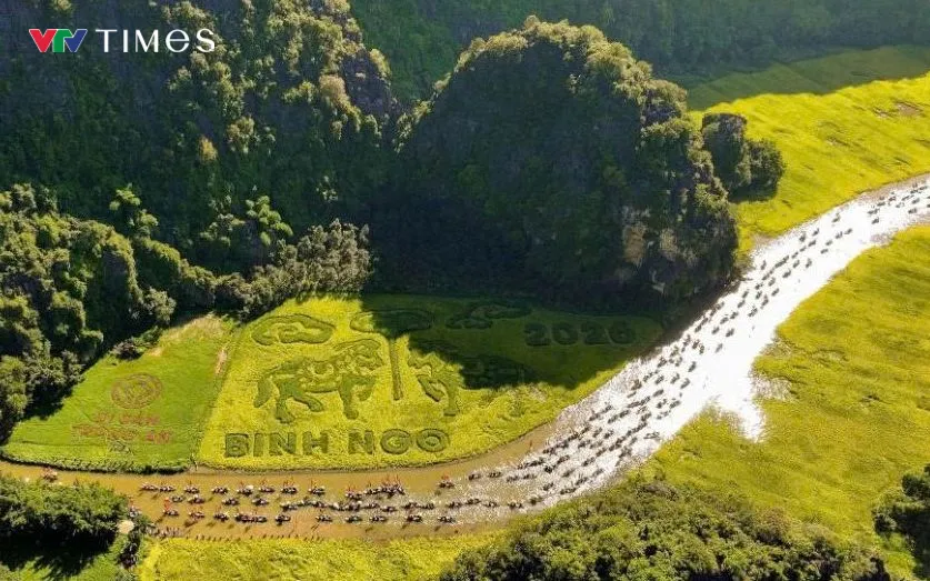 Phong cảnh Tam Cốc Bích Động. Ảnh QH