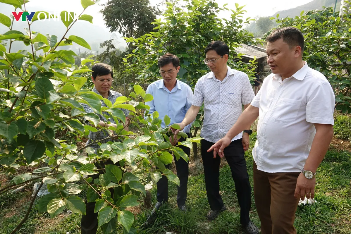 Sơn La nâng giá trị nông sản theo chuỗi - Ảnh 3.