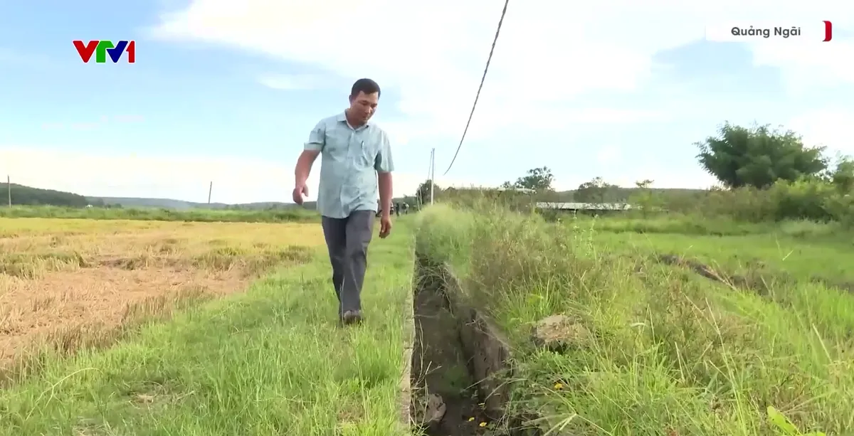 Quảng Ngãi: Phát huy hiệu quả hệ thống thủy lợi trong công tác phòng, chống hạn hán - Ảnh 2.