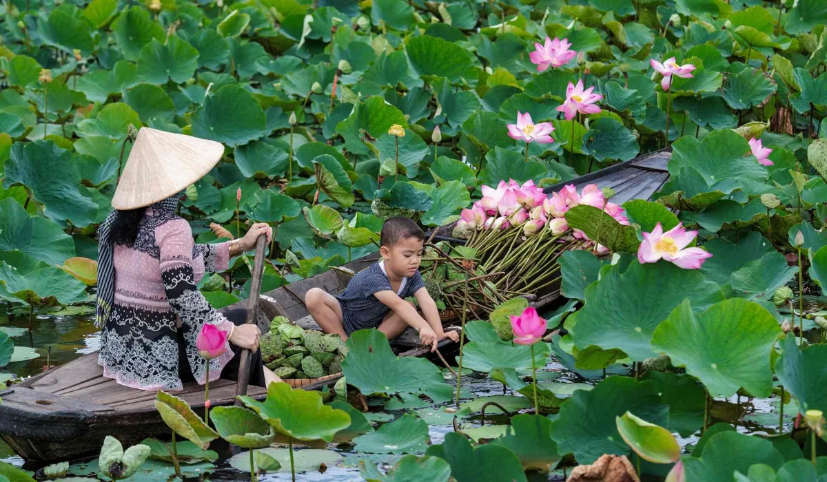 Đồng Th&aacute;p mở hội sen, quảng b&aacute; ng&agrave;nh h&agrave;ng hơn 1.900 tỉ đồng/năm- Ảnh 1.