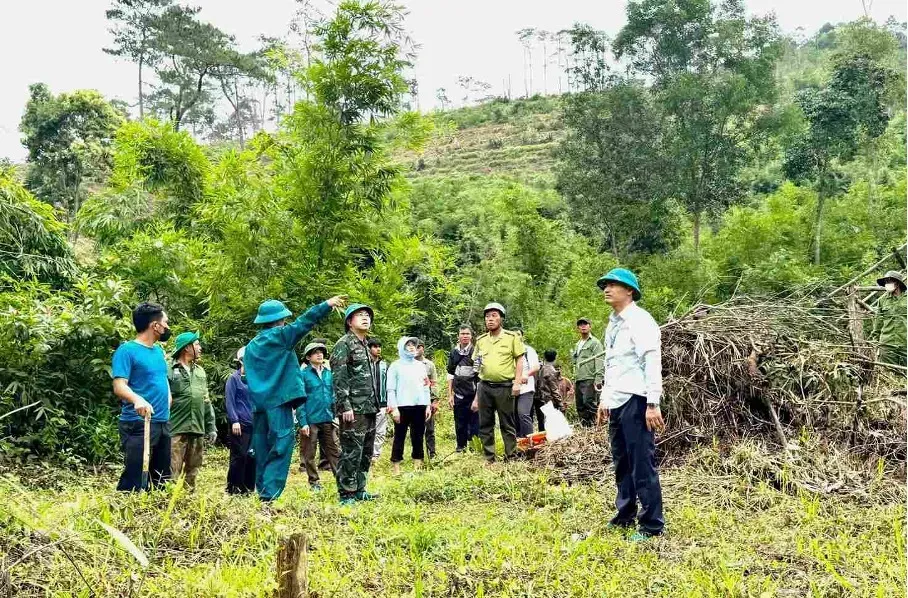 L&acirc;m Đồng cưỡng chế, kh&ocirc;i phục hơn 7,3ha đất l&acirc;m nghiệp bị lấn chiếm tr&aacute;i ph&eacute;p- Ảnh 1.