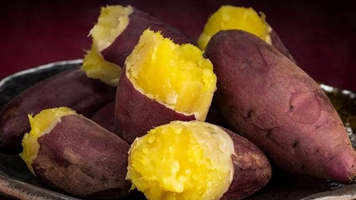 Mùa hè ăn khoai lang lợi đủ đường, riêng 3 nhóm này nên cân nhắc- Ảnh 1. Mùa hè ăn khoai lang lợi đủ đường, riêng 3 nhóm này nên cân nhắc- Ảnh 1.