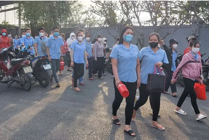 Doanh nghiệp trốn đ&oacute;ng bảo hiểm x&atilde; hội hết thời "mưu mẹo"- Ảnh 1.