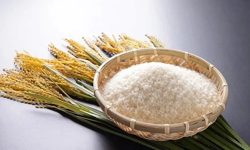 Bản tin nông sản hôm nay (3-6): Giá cà phê và hồ tiêu đồng loạt giảm- Ảnh 3. Bản tin nông sản hôm nay (3-6): Giá cà phê và hồ tiêu đồng loạt giảm- Ảnh 3.