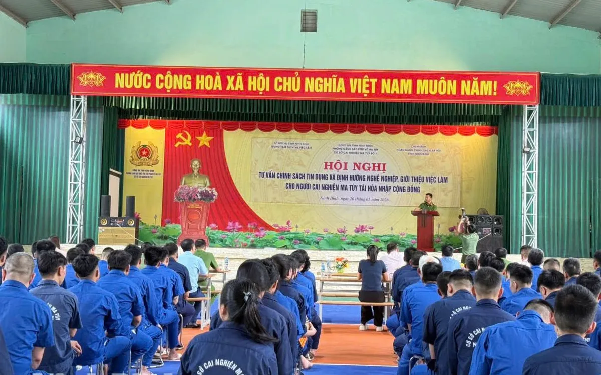 Định hướng nghề nghiệp và giới thiệu việc làm cho người cai nghiện ma túy.