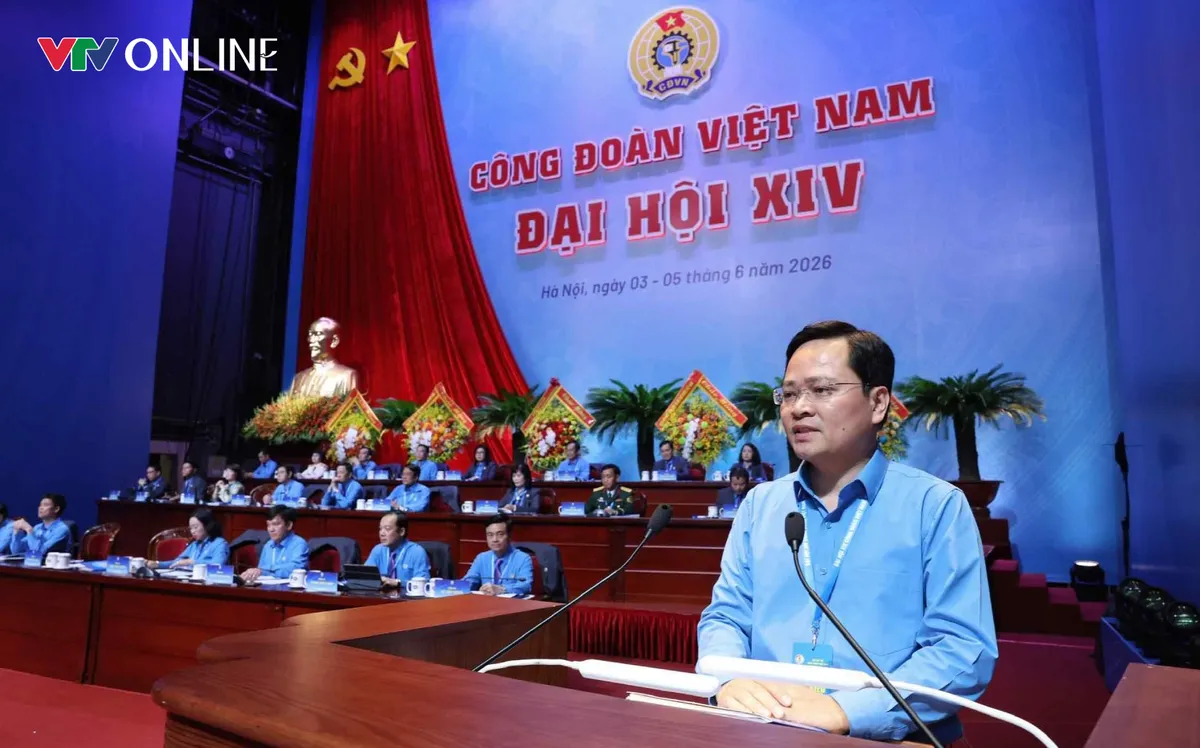 Ban Chấp hành Tổng Liên đoàn khóa XIV dự kiến có 145 ủy viên - Ảnh 2.