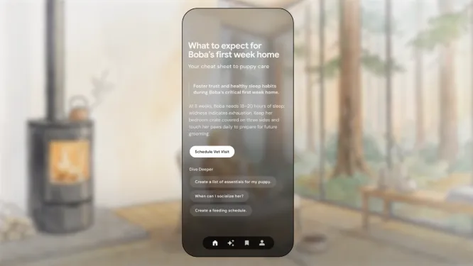 Google ra ứng dụng AI biến dữ liệu cá nhân thành gợi ý hằng ngày - Ảnh 1.