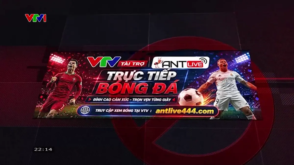 Trục lợi từ thương hiệu và nội dung của VTV có thể bị xử lý hình sự - Ảnh 3.