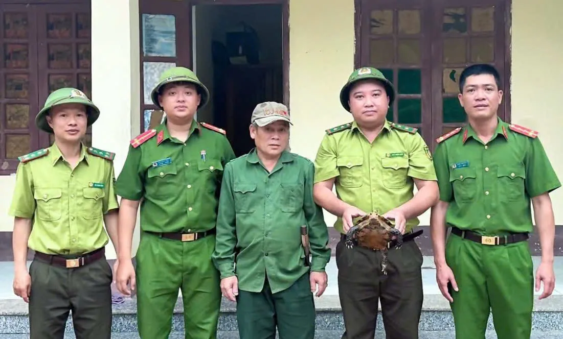Người d&acirc;n tự nguyện giao nộp r&ugrave;a n&uacute;i viền qu&yacute; hiếm - Ảnh 2.
