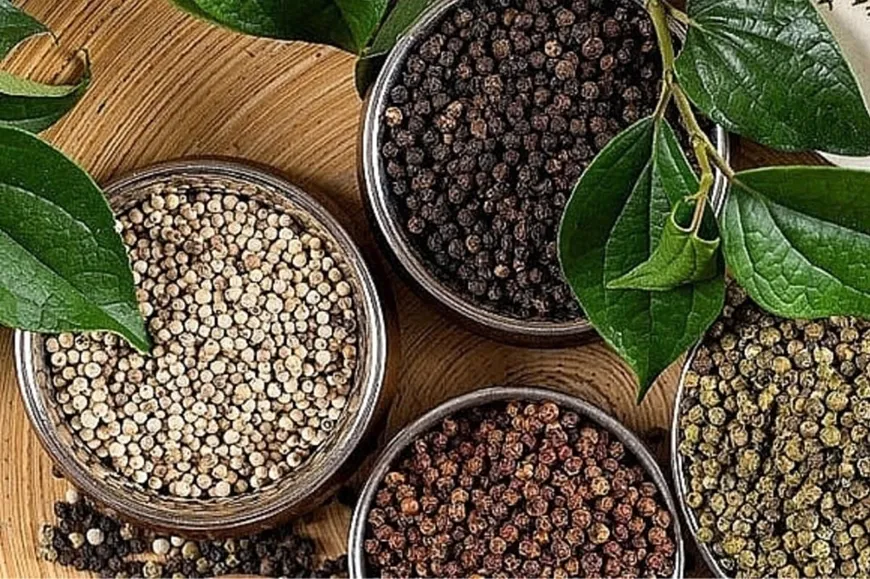 Bản tin nông sản hôm nay (5-6): Giá cà phê quay đầu giảm, giá hồ tiêu đi ngang- Ảnh 1. Bản tin nông sản hôm nay (5-6): Giá cà phê quay đầu giảm, giá hồ tiêu đi ngang- Ảnh 1.